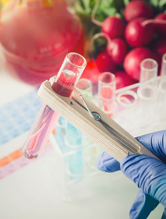 provetta analisi alimentari